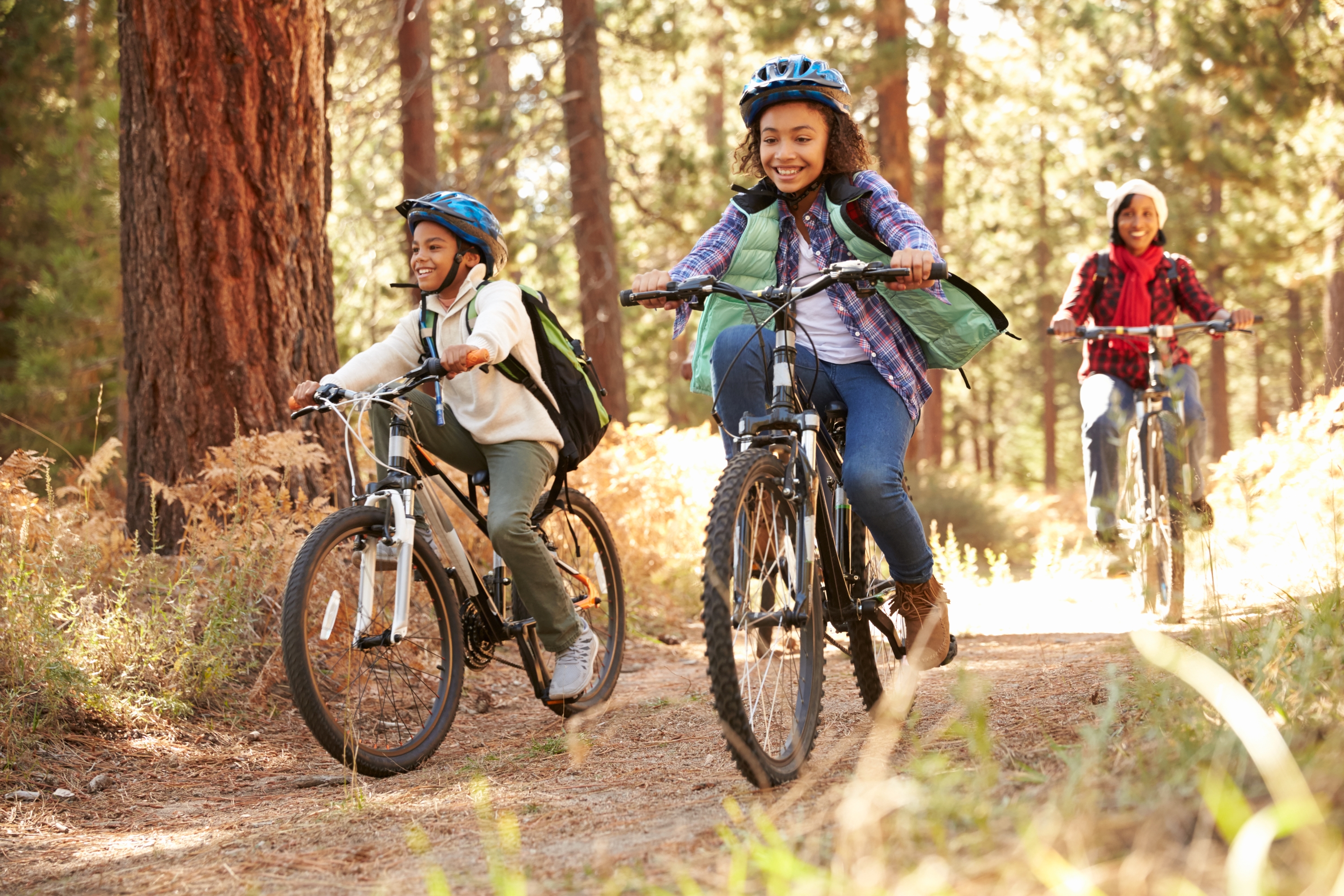 Family on mountain bikes