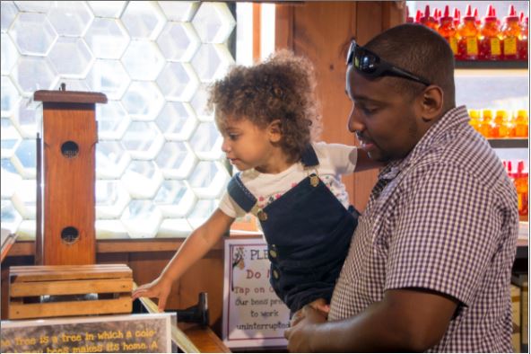 Father and daughter looking at a beehive at Cold Hollow Cider Mill, photo by Heather Glenn