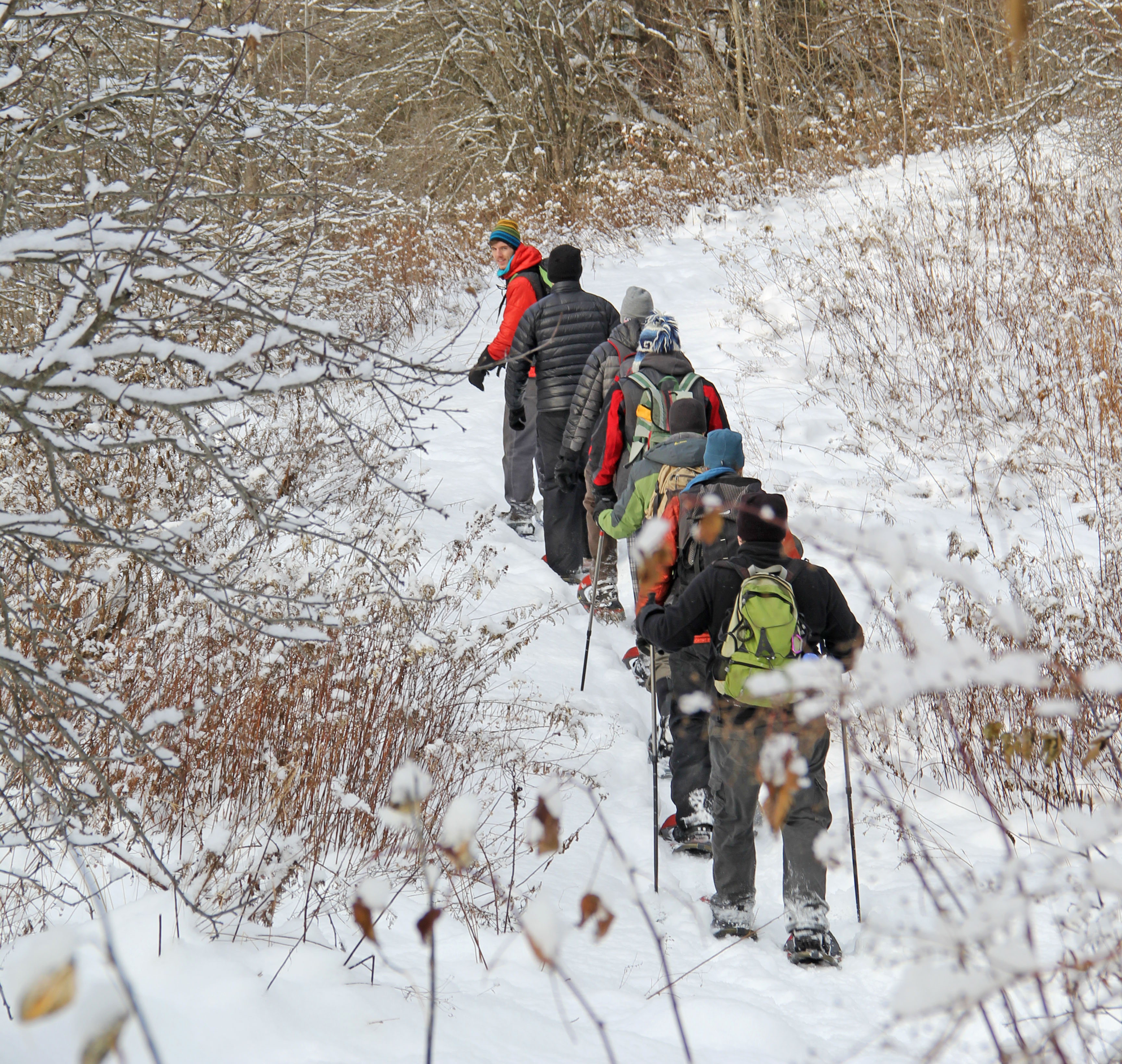 Snowshoers on a trail