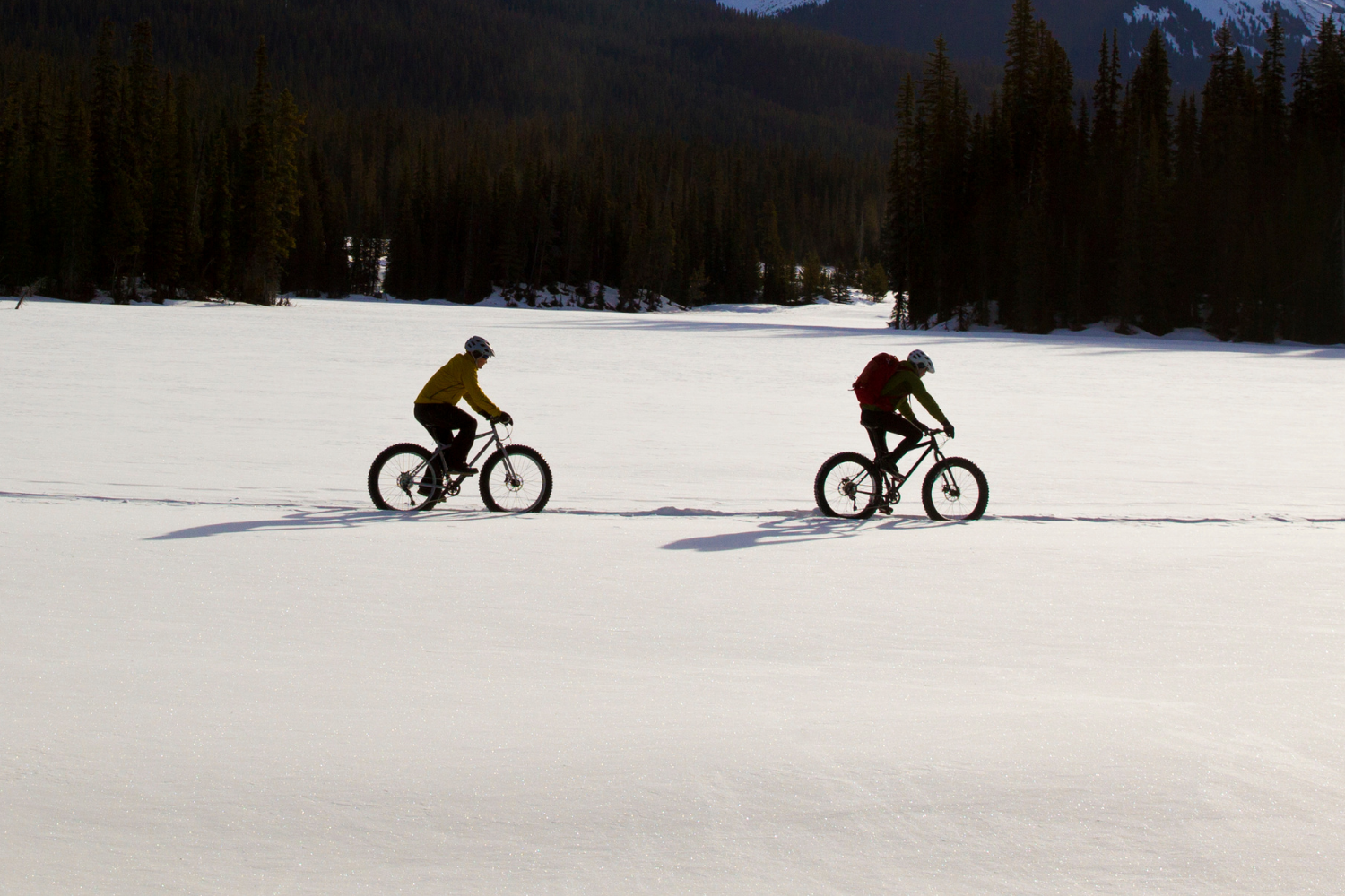 Fat tire bikers on the snow